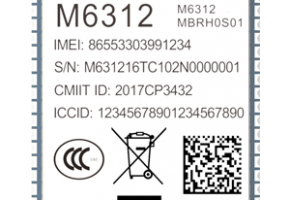 M6312（GSM,2017）
