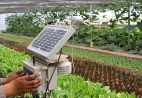 智慧农业物联网流量卡：远程调控设备 生态环境信息自动检测！