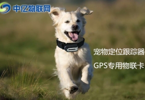 物联网卡+宠物GPS跟踪器：宠物运动轨迹全球定位!
