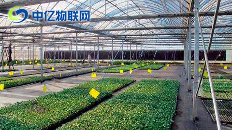 移动物联网卡的出现带动物联网迅速成长