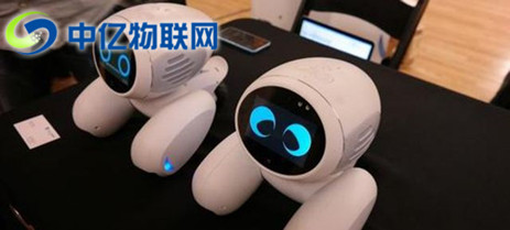  宠物机器人联通物联卡是如何实现智能化管理的？为什么能受到市场青睐？